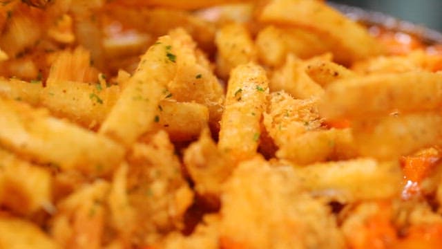 Crispy fries with seasoning