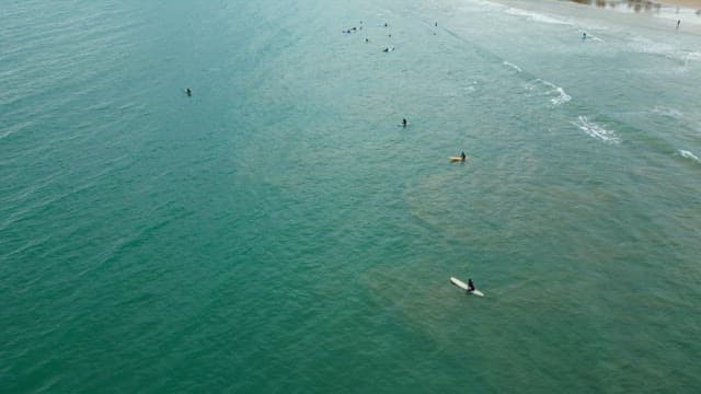 Surfers waiting for waves in the ocean