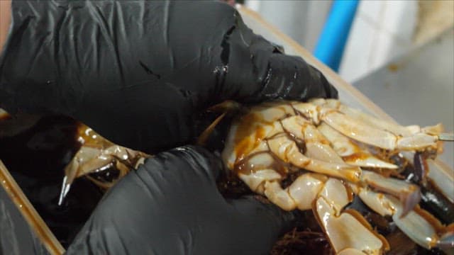 신선하고 맛있는 간장게장을 가르는 손