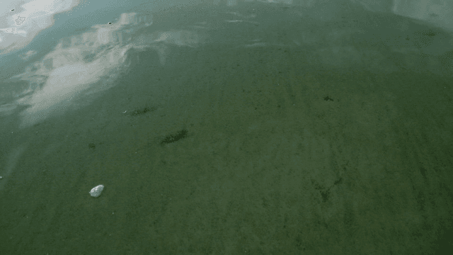 Clear and calm lake with visible bottom