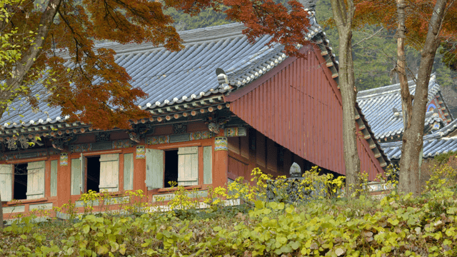 Traditional Korean temple surrounded by trees