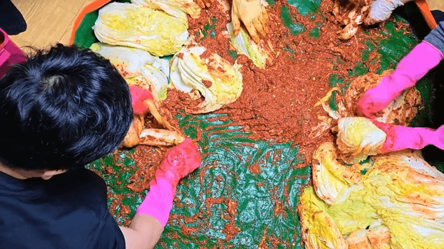 Making kimchi with cabbage and spices