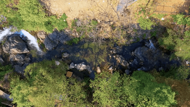 Tranquil riverside with lush greenery