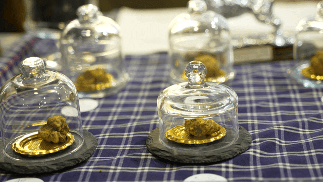 Truffles displayed under glass cloche