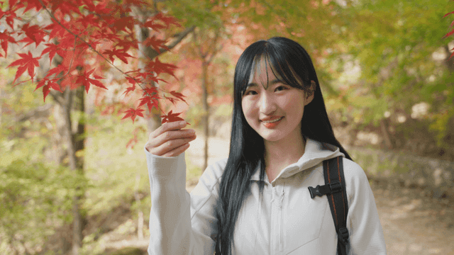 Young woman viewing autumn foliage in forest