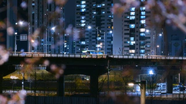 Cherry blossoms at night with city lights