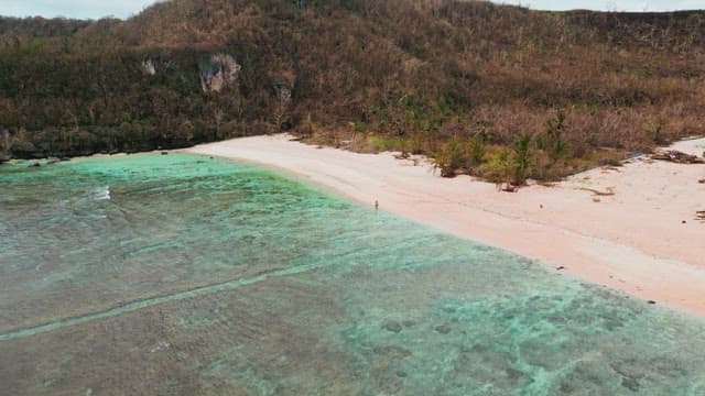 고요한 해변을 걷는 커플