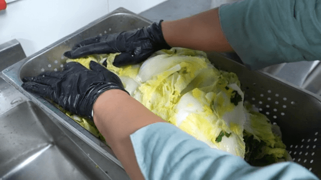 물기를 빼는 배추