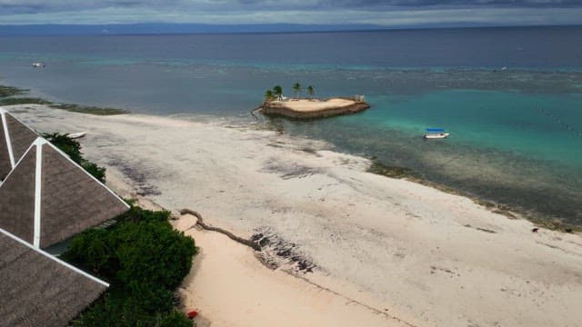 Small island with palm trees in clear water