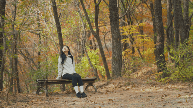 가을 산 속 벤치에 앉아 쉬는 젊은 여성
