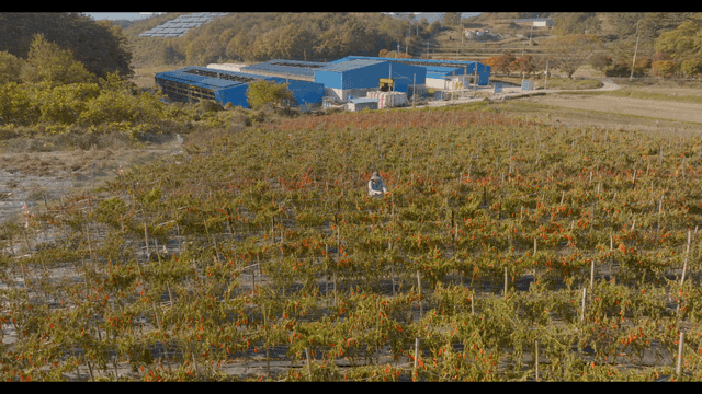 근처 축사가 있는 밭 