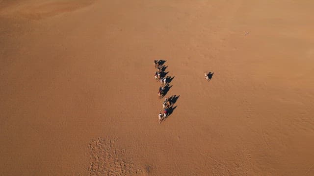 Group of people riding camels in the desert