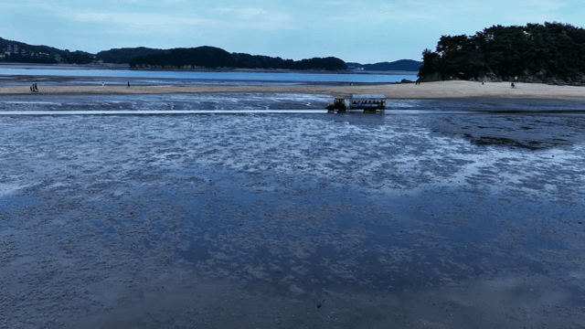 넓은 갯벌 위의 관광버스