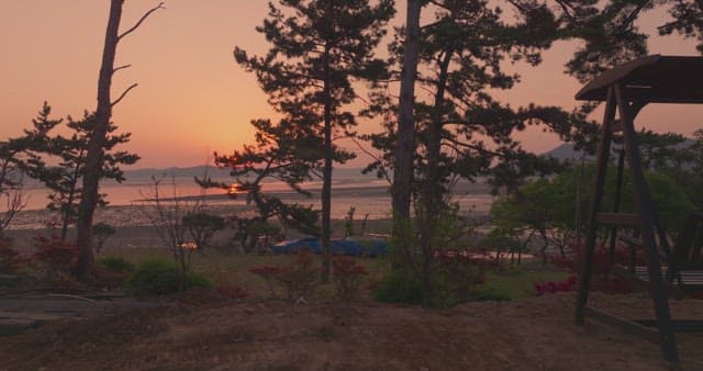 Sunset over a tranquil beach with trees