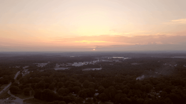 숲이 우거진 풍경 위의 일몰