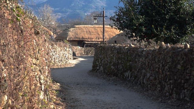 Rustic thatched-roof village road in the countryside bathed in sunlight