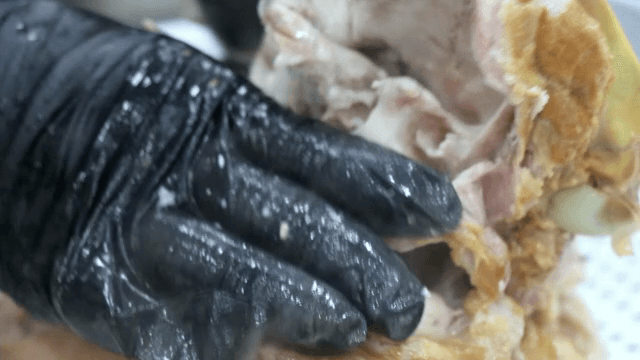 Gloved hand handling raw meat
