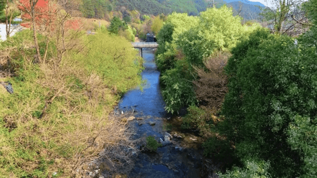 Serene river flowing through lush greenery