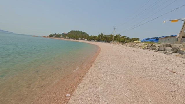 Serene beach with clear sea and trees