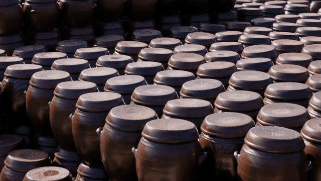 가지런히 진열되어 있는 전통 한국 항아리