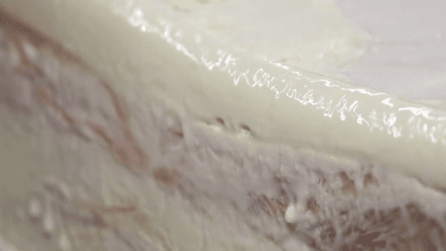 고구마 전분을 부은 생고기의 단면