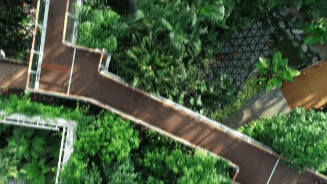 길이 있는 푸른 식물이 무성한 식물원