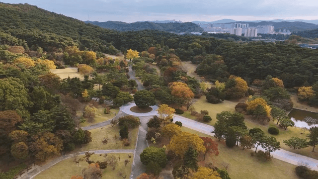 Park with colorful autumn trees