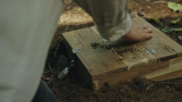 땅에 묻혀 있던 상자 속 추억이 담긴 종이학