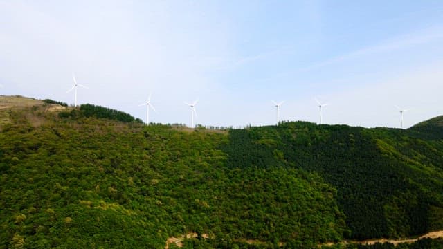 Wind turbines installed on a forested mountain under a blue sky