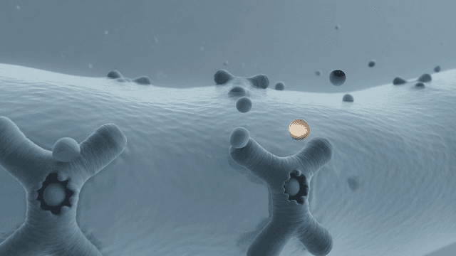 Microscopic view of cellular structures