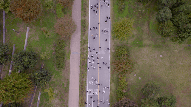 People jogging on a park road surrounded by trees