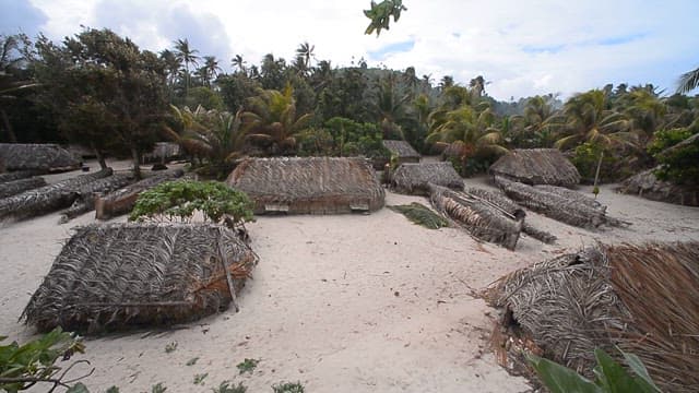 View of traditional thatched huts in a tropical setting