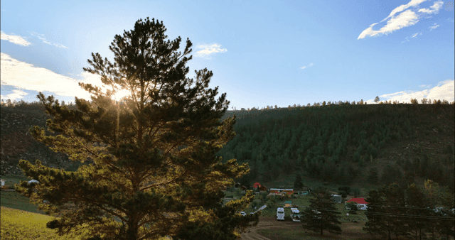 언덕 위 나무가 있는 마을 풍경