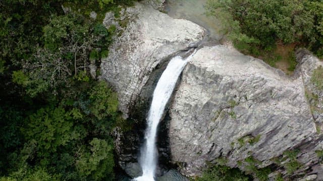 View of a waterfall in a lush forest