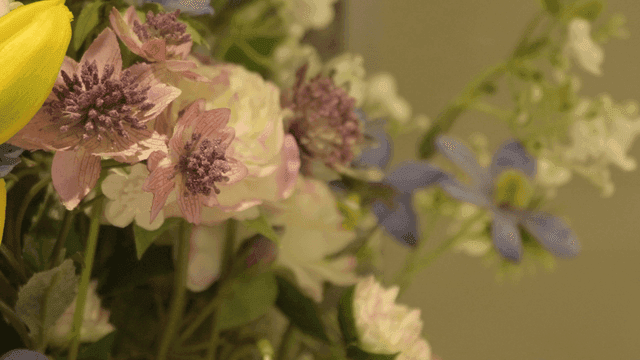 다채로운 꽃다발