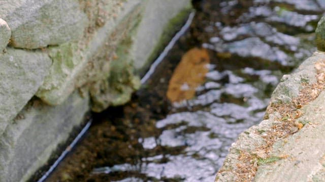 바위 사이로 흐르는 작은 시냇물