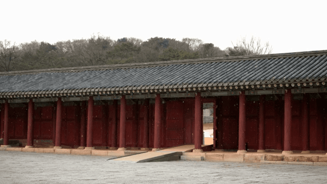 눈이 내리는 창경궁 내부의 풍경