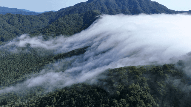 Fog rolling over lush green mountains