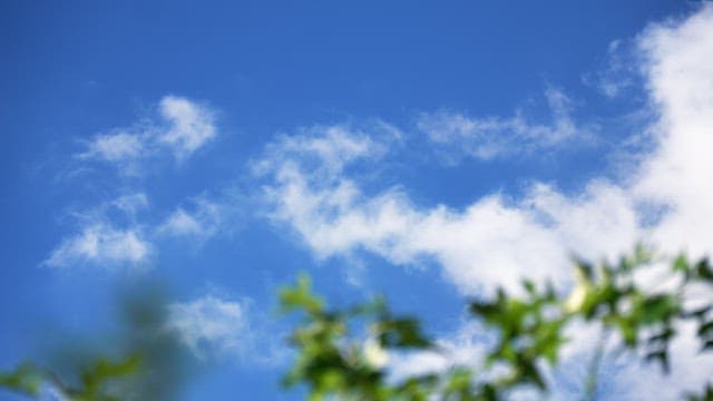 Clear blue sky with scattered white clouds and vibrant green leaves