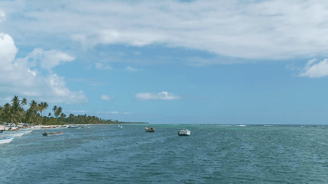 Tropical beach with boats and palm trees