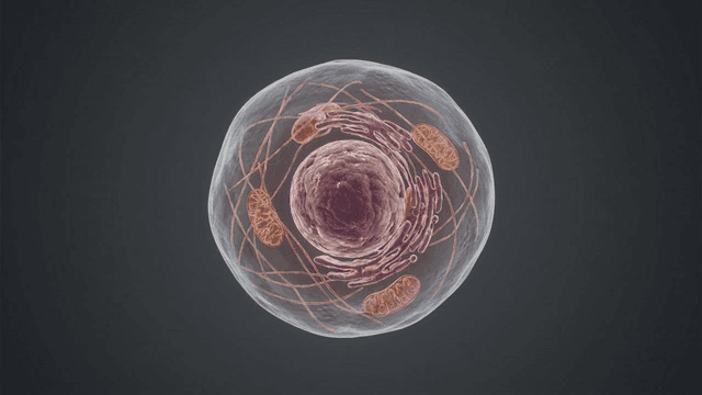 Detailed view of stem cell structure