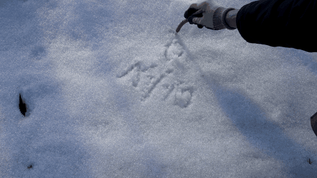 열필 모양의 나무 막대로 눈 위에 글을 쓰는 손