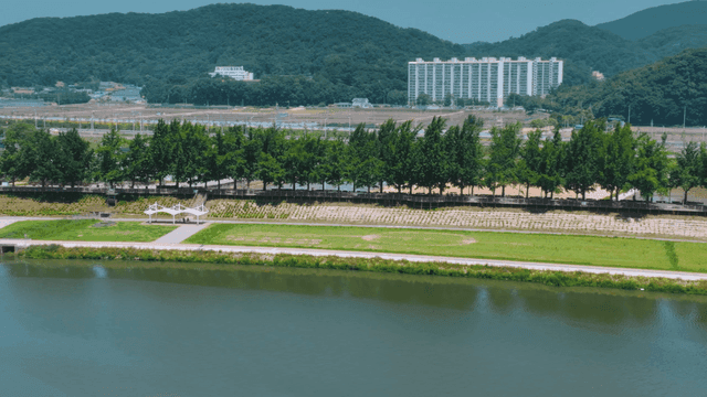 Riverside park with trees and grass