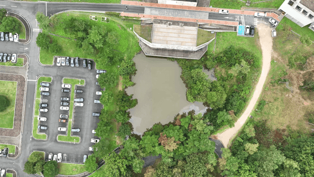 Aerial view of a pond surrounded by trees