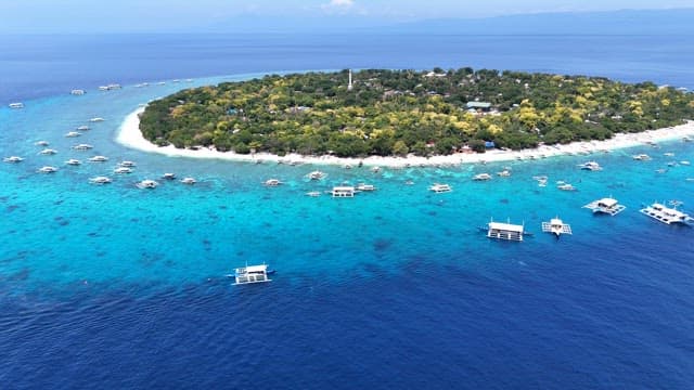 Tropical island surrounded by clear blue sea