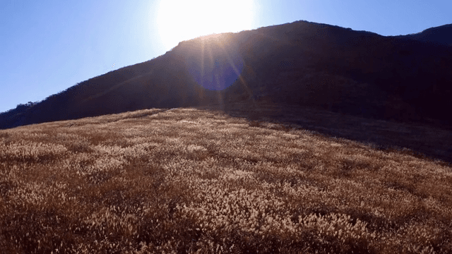햇빛이 비치는 산과 높은 풀밭