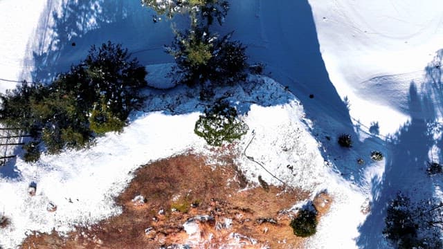 눈 덮인 산과 나무가 있는 풍경