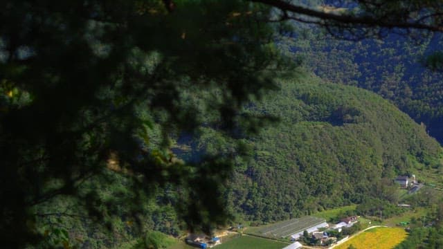 View of lush mountains from high above