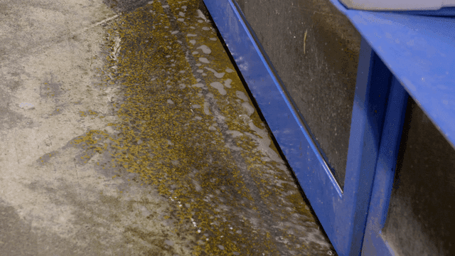 거품과 때가 있는 젖은 수조 바닥