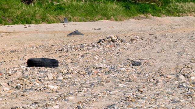 녹지와 타이어가 있는 자갈밭